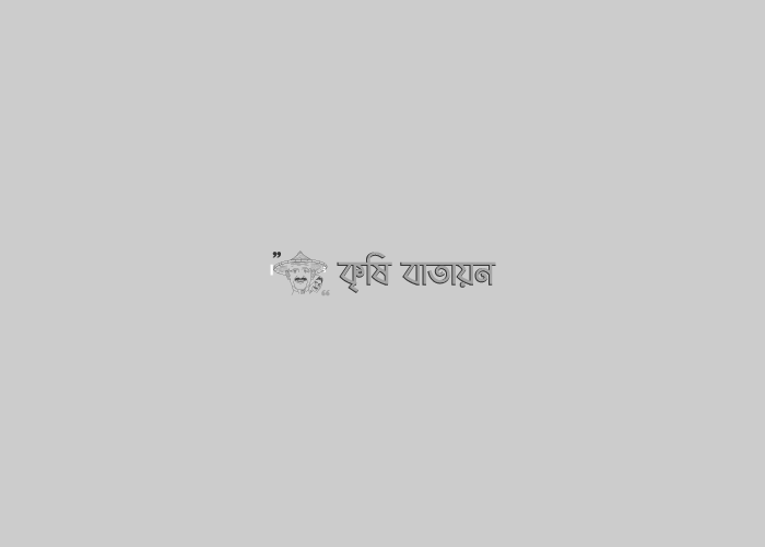 ডিএপি সারের কেজি এখন ১৬ টাকা : কৃষিমন্ত্রী ড. আব্দুর রাজ্জাক এমপি.