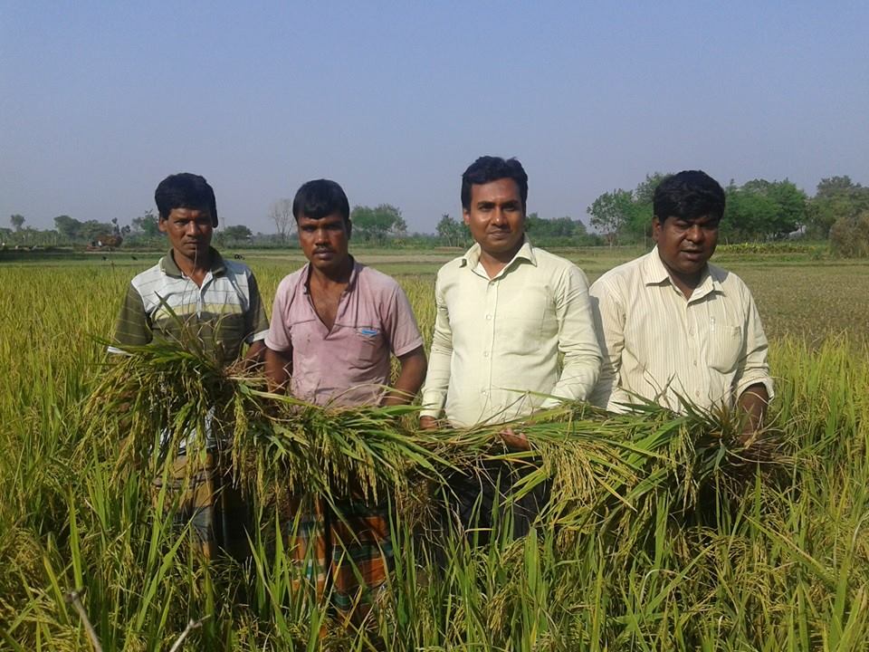 বীজ উ্যপাদন প্রদশর্দনী