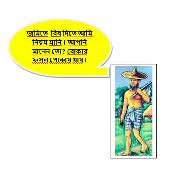 বালাইনাশক প্রয়োগের সঠিক নিয়ম