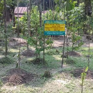 ফলবাগান প্রদর্শনী